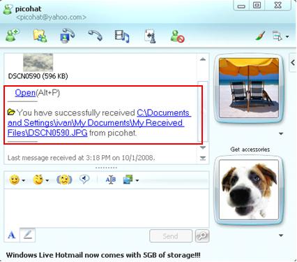 Completed Windows Live Messenger File Transfer