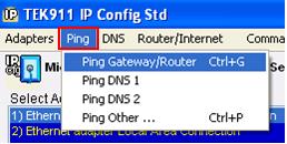 Ping Router Gateway DNS