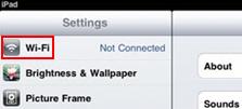 wifi or wireless settings in iPad
